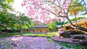 夏威夷大学马诺阿分校研究生教育暑期预备项目(SummerUP)线上课程